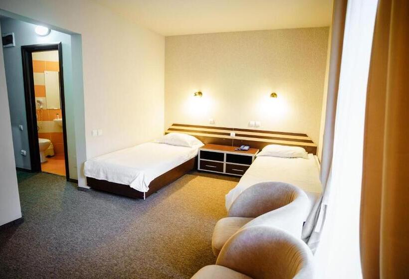 스탠다드 룸, Bacolux Diana Resort, Herculane