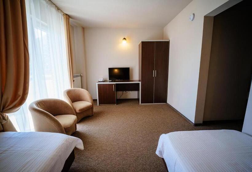 스탠다드 룸, Bacolux Diana Resort, Herculane