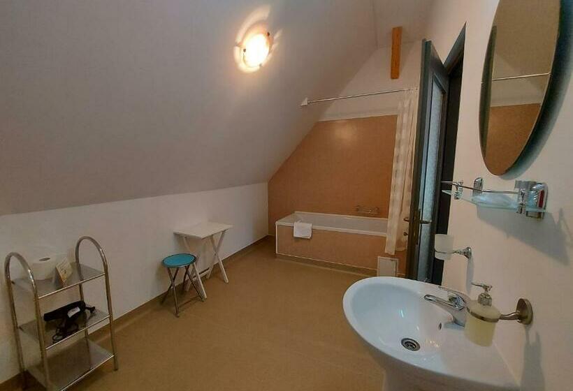 חדר סטנדרט, Pensiunea Keisd