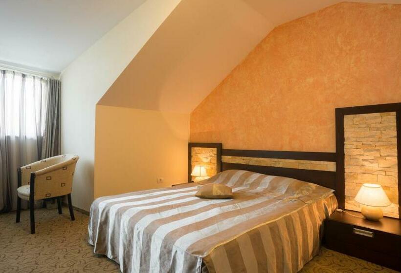 غرفة قياسية, Bucegi