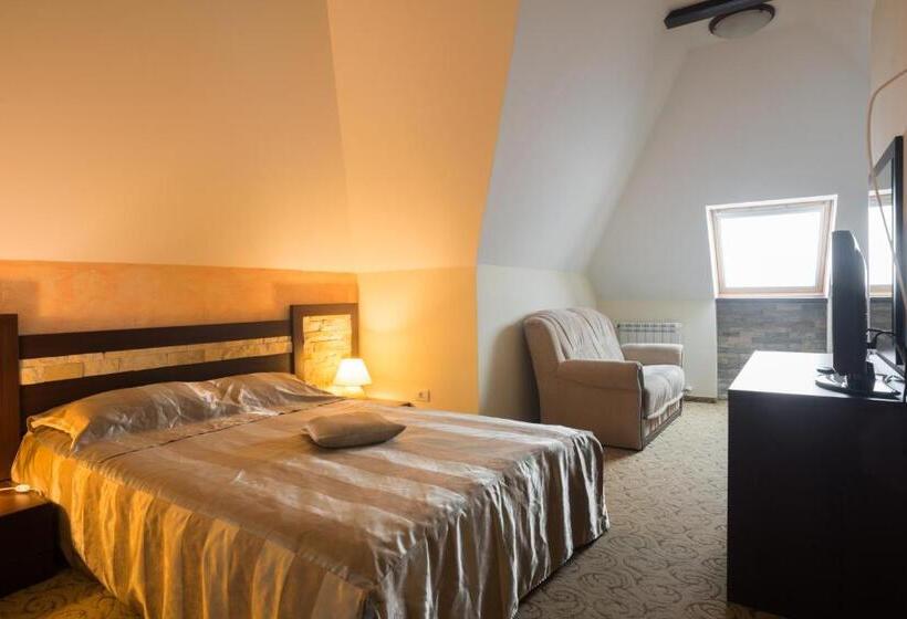 شقة إدارية غرفة واحدة, Bucegi