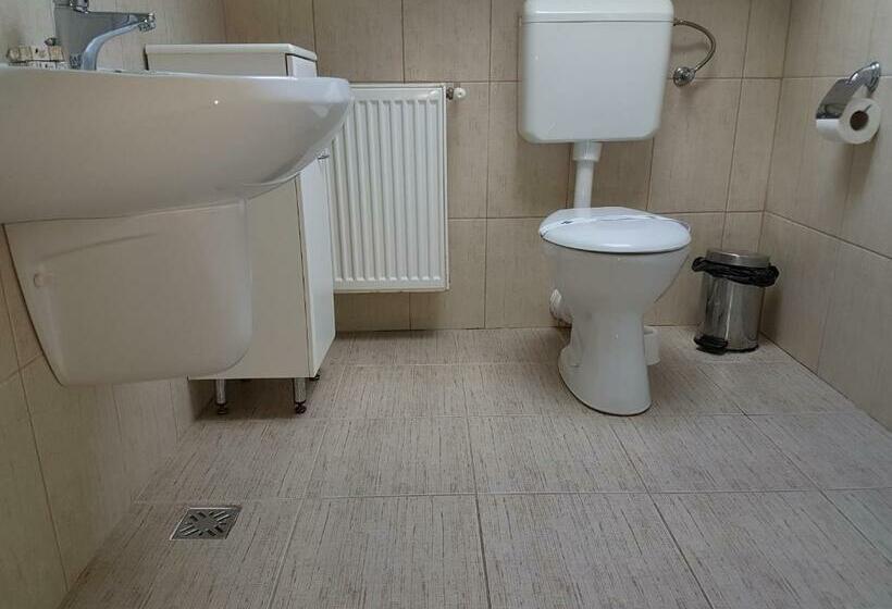 غرفة قياسية, Iris