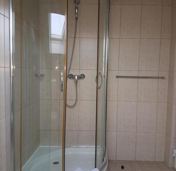 غرفة قياسية ثلاثية, Iris