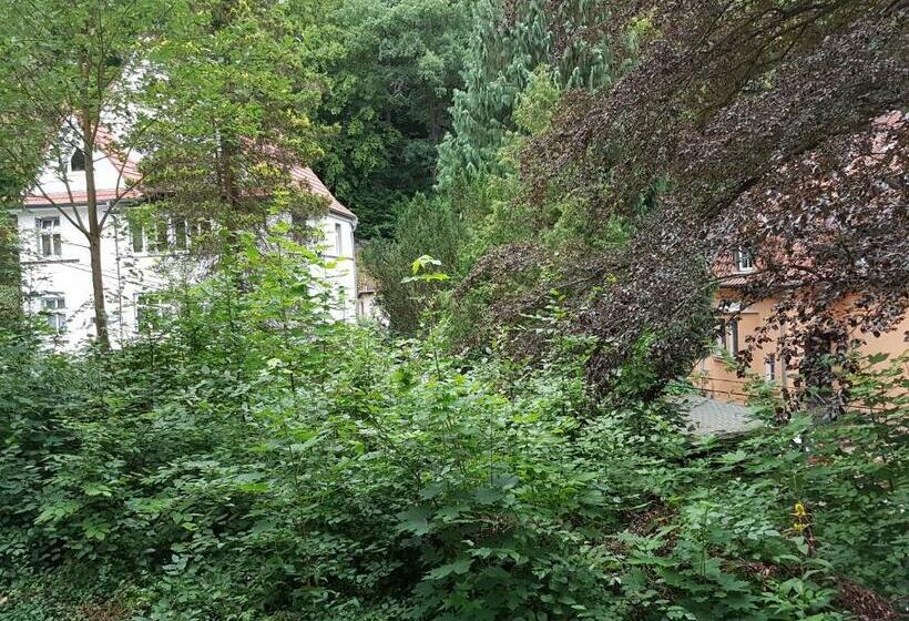 ガーデンビュースタンダードルーム, Restaurant Sophienaue