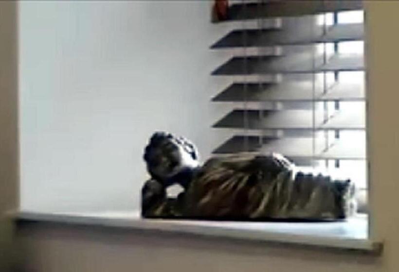 شقة إدارية غرفة واحدة, Smiths