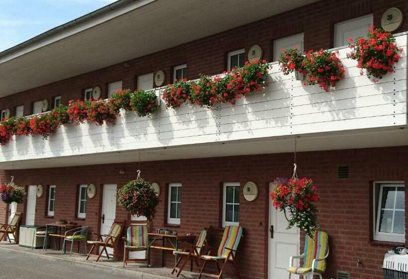 غرفة قياسية, Steiner