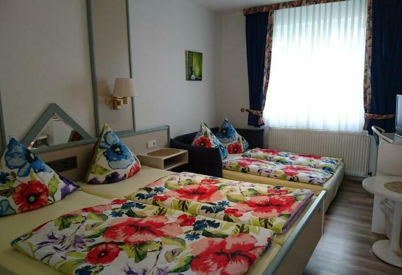 غرفة قياسية, Steiner