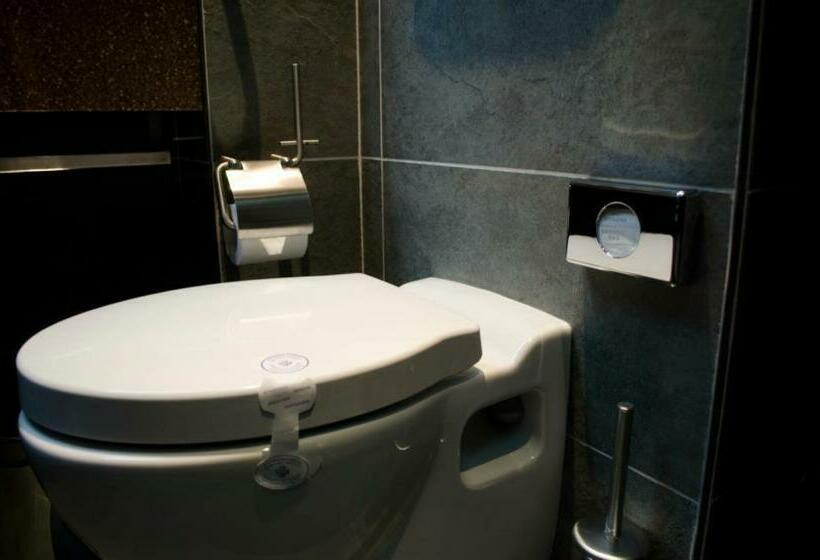 스탠다드 룸, Tolea