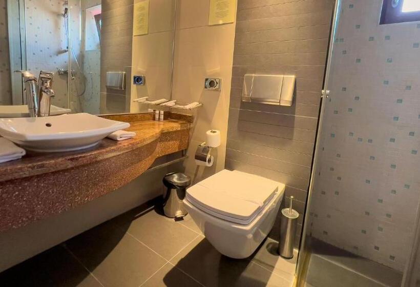 스탠다드 룸, Tolea