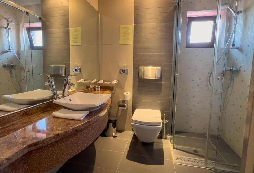 스탠다드 룸, Tolea