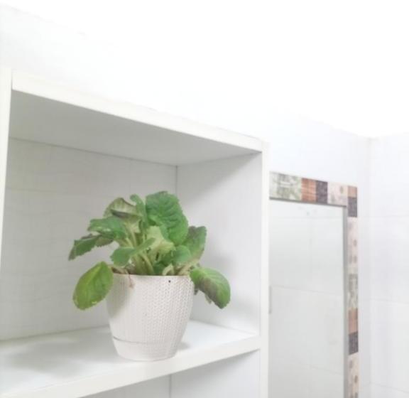 Номер Стандарт Индивидуальный, Alojamiento Familiar Custodia