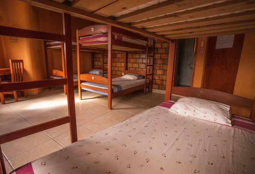 Кровать в Общей Комнате, El Mural Backpackers