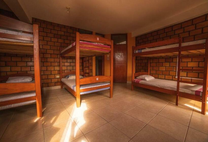 Кровать в Общей Комнате, El Mural Backpackers