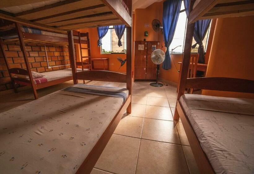 Кровать в Общей Комнате, El Mural Backpackers