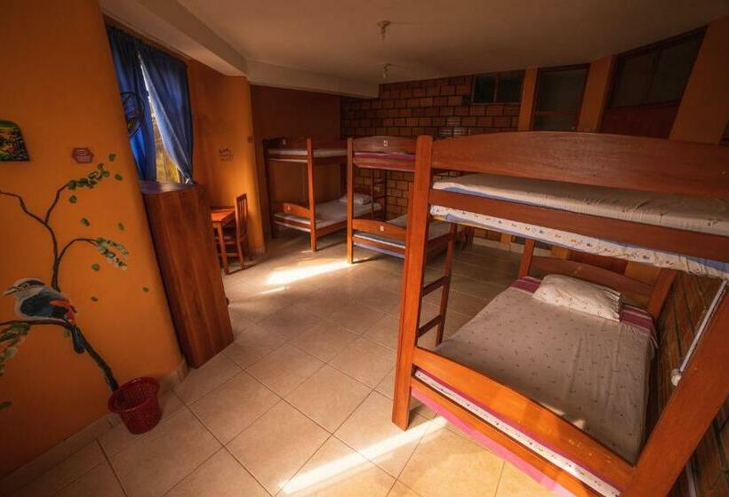 Кровать в Общей Комнате, El Mural Backpackers