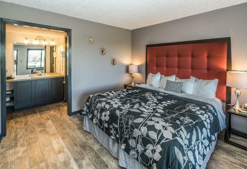 Стандартный Номер Кровать Кинг, Geneva Wells Inn