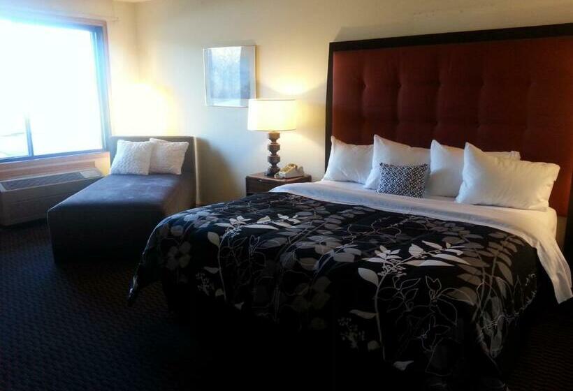 Стандартный Номер Кровать Кинг, Geneva Wells Inn