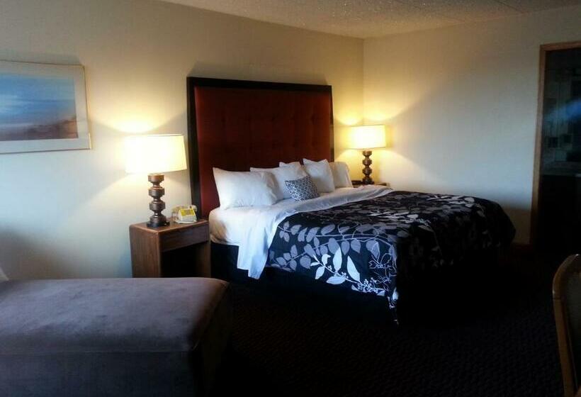 Стандартный Номер Кровать Кинг, Geneva Wells Inn