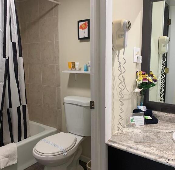 Номер Стандарт, Geneva Wells Inn