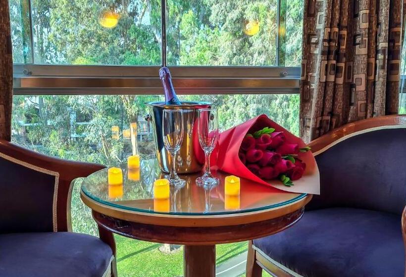 小型套房, 44 Vip