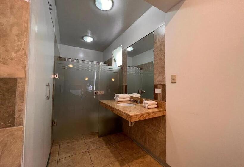 带按摩浴盆的套房, 44 Vip