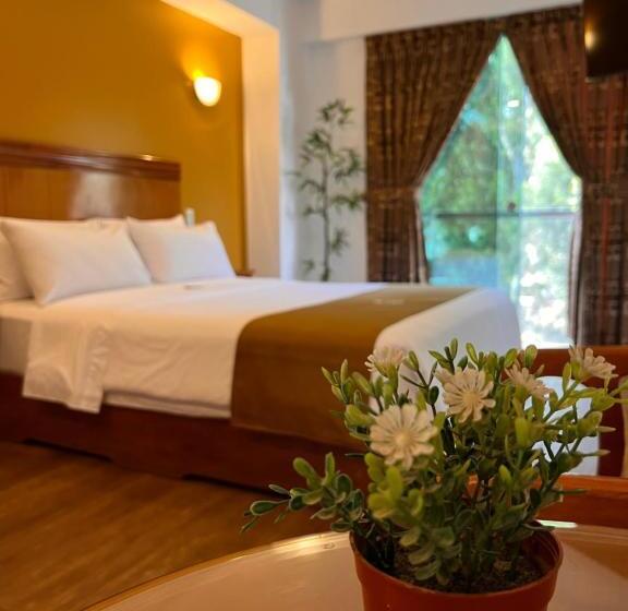 豪华套房, 44 Vip