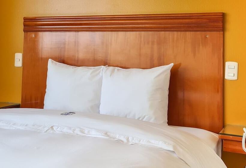 行政房间, 44 Vip