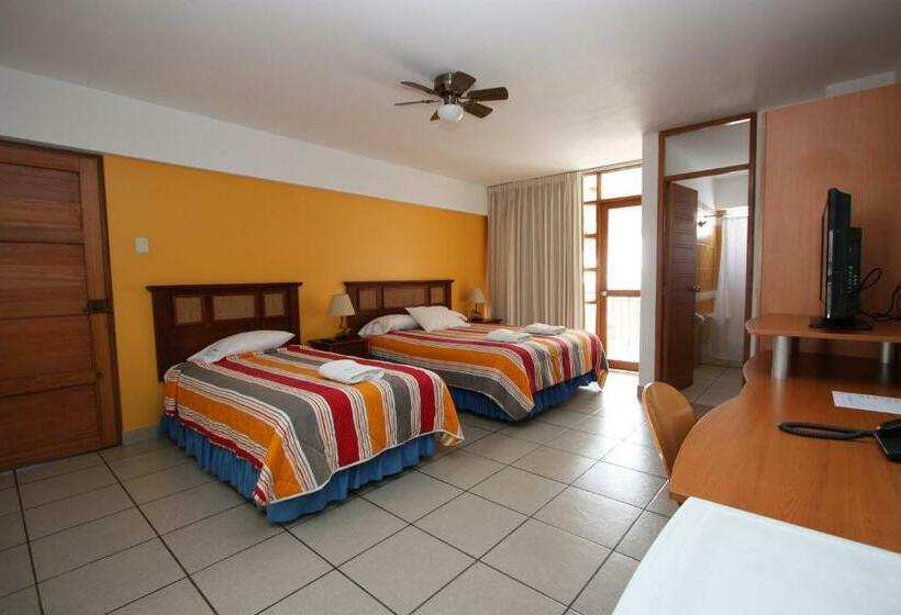 수피리어 룸, Bracamonte