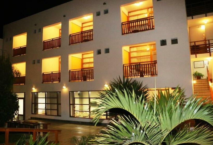 수피리어 룸, Bracamonte