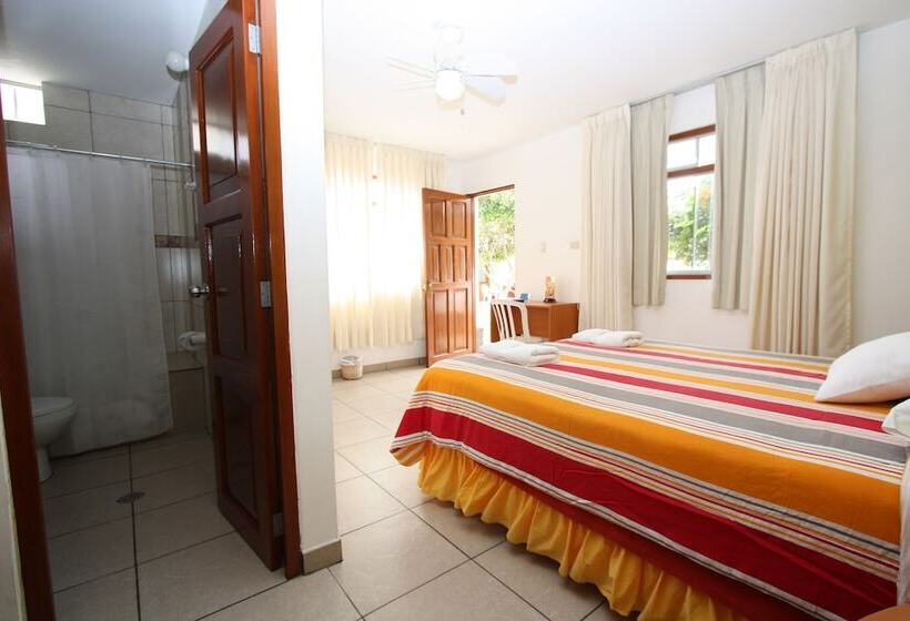 이그제큐티브 싱글룸, Bracamonte