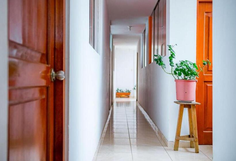 اتاق خانوادگی, Chachapoyas