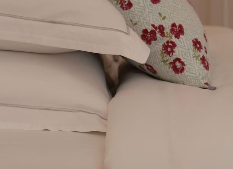 스탠다드 룸, L Hôtel Particulier Beziers