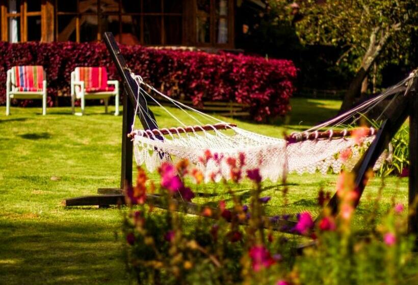 اتاق خانوادگی, Lizzy Wasi Urubamba