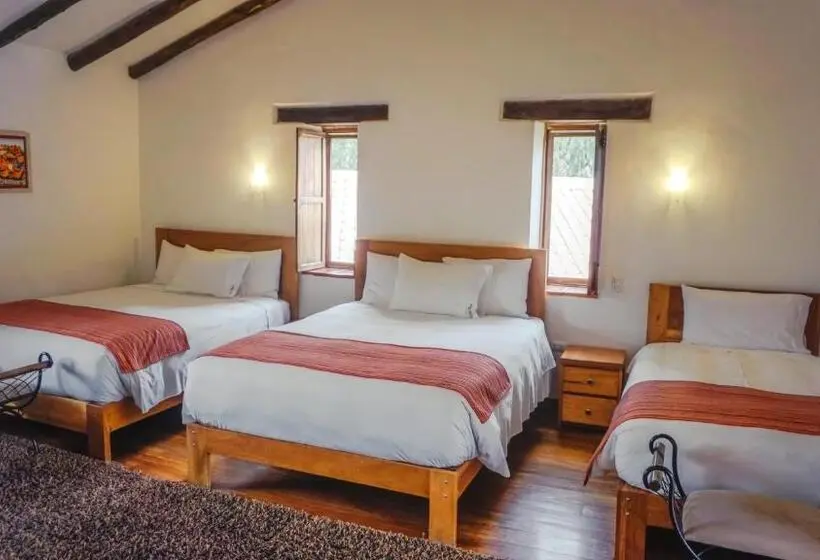 اتاق خانوادگی, Lizzy Wasi Urubamba