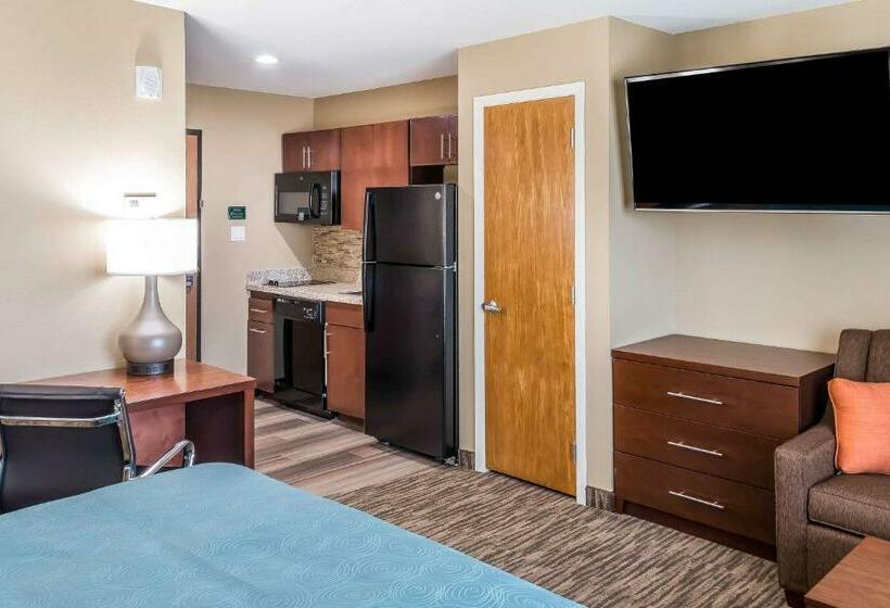 جناح سرير كينج, Mainstay Suites Edinburg