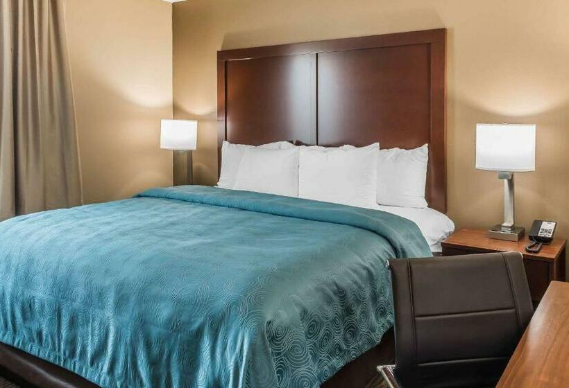 Люкс Кровать Кинг, Mainstay Suites Edinburg