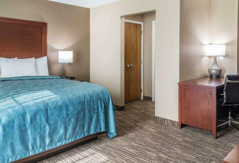 Люкс Кровать Кинг, Mainstay Suites Edinburg