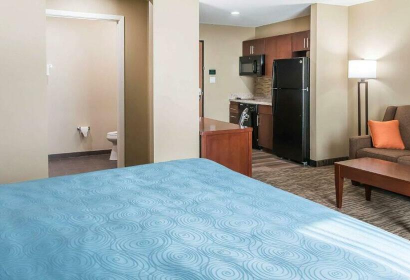 جناح سرير كينج, Mainstay Suites Edinburg