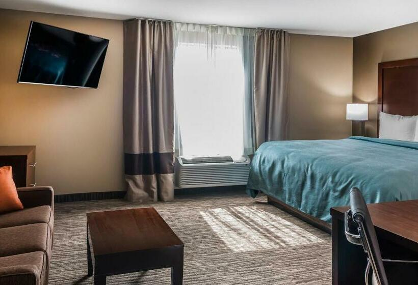 Люкс Кровать Кинг, Mainstay Suites Edinburg