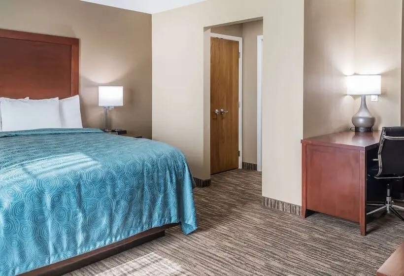 スイート, Mainstay Suites Edinburg