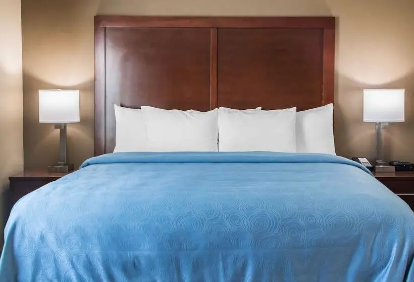 スイート, Mainstay Suites Edinburg
