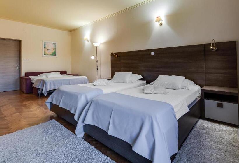 コンフォートトリプルルーム, Marinko