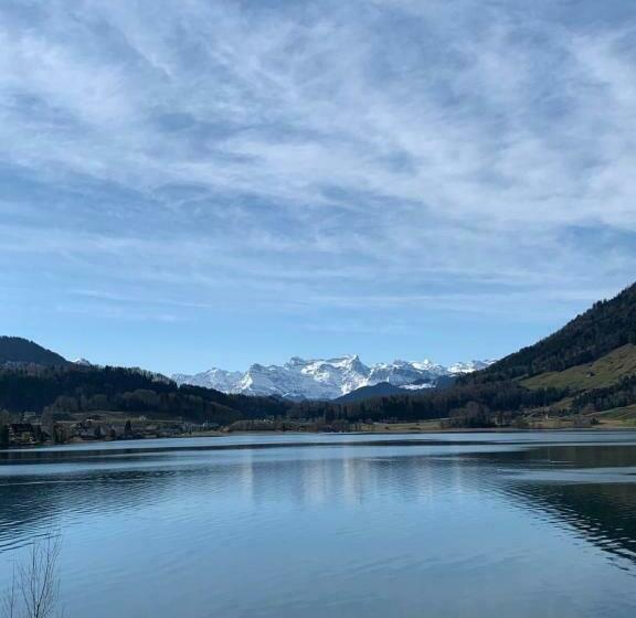 스탠다드 룸 호수 전망, Restaurant Eierhals Am ägerisee