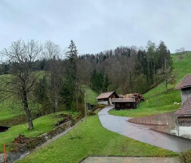 Standard-huone Näkymä, Restaurant Eierhals Am ägerisee