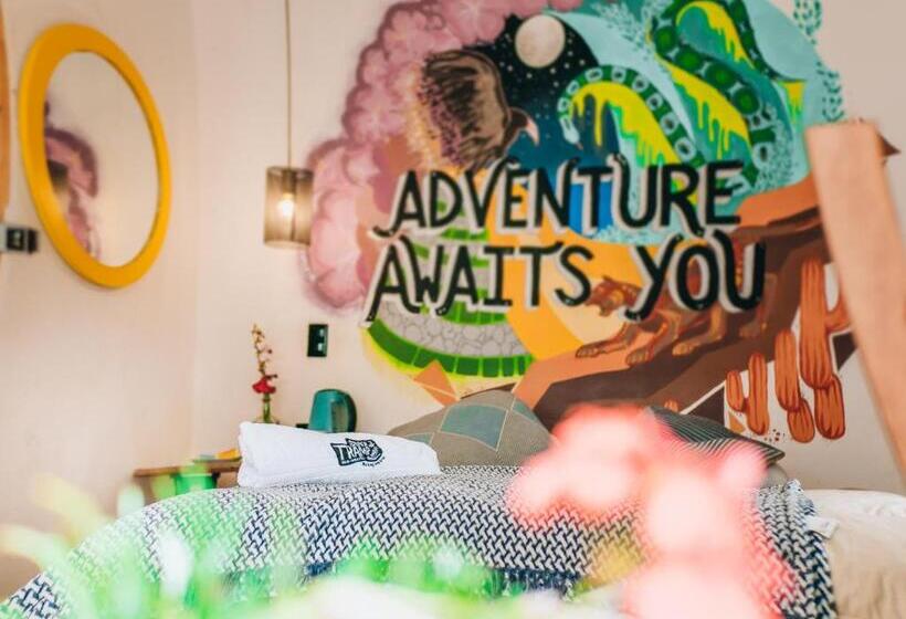 スタンダードルーム, Supertramp Hostel Cusco