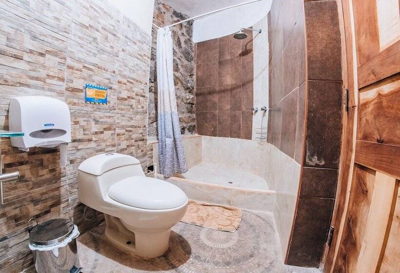 スタンダードルーム, Supertramp Hostel Cusco