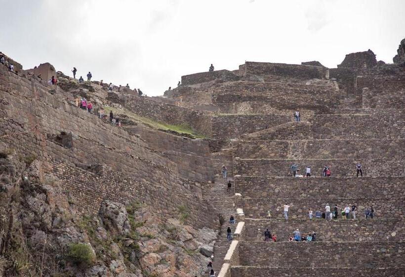 اتاق خانوادگی, Sauce Hotel Boutique