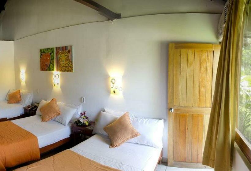 غرفة أساسية ثلاثية, Dm Es Tarapoto