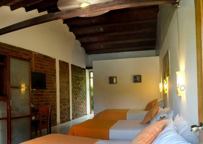 基本三人间, Dm Es Tarapoto