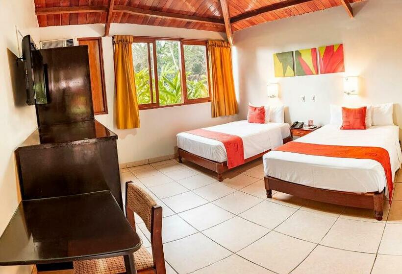 标准间, Dm Es Tarapoto